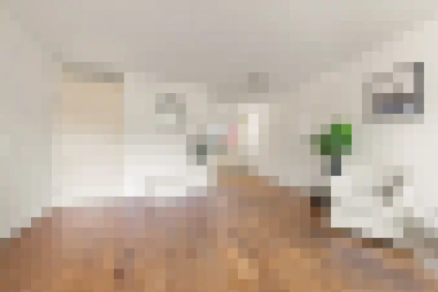 de Raep 37 Beverwijk thumbnail 14