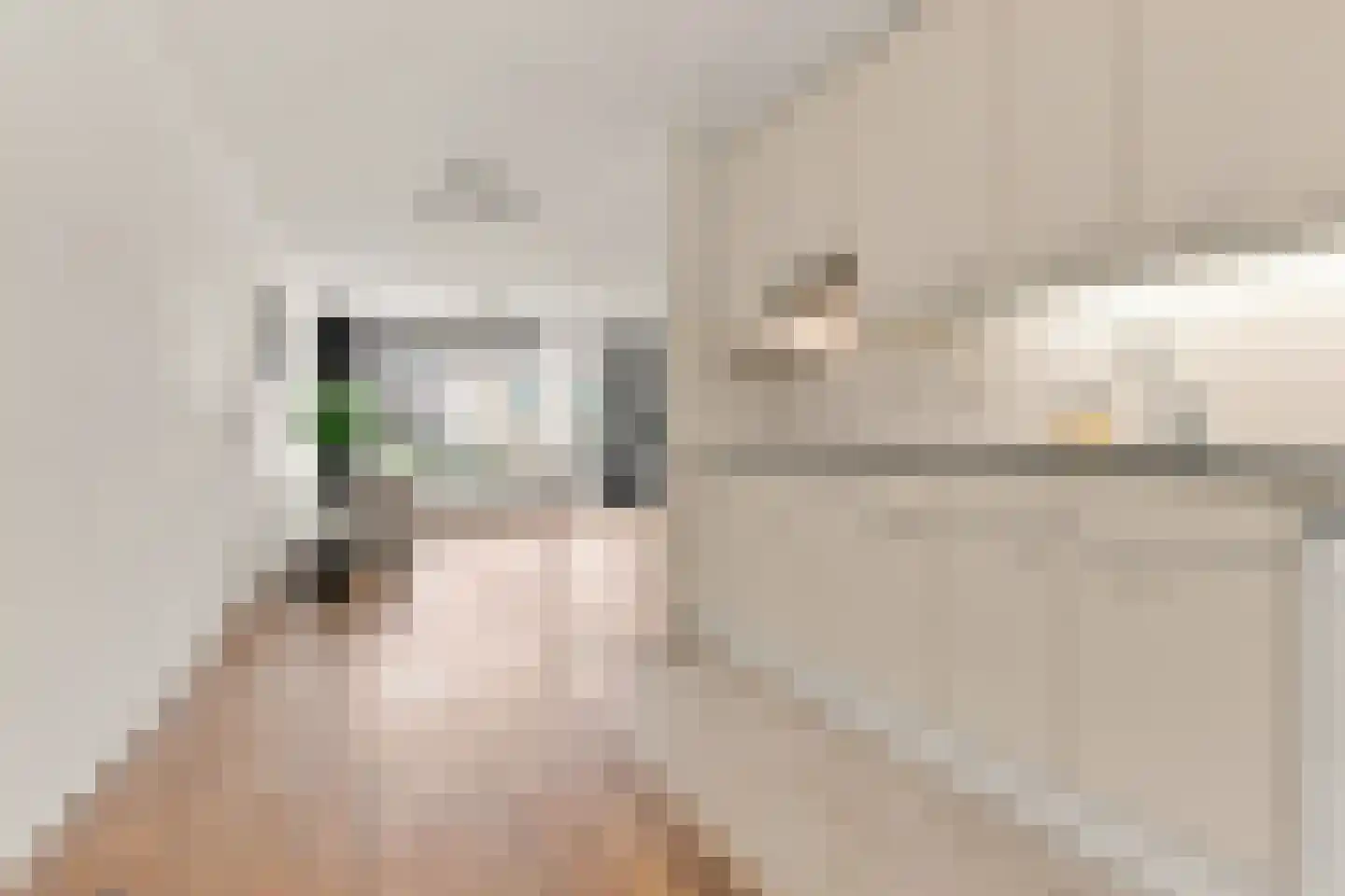 de Raep 37 Beverwijk thumbnail 17