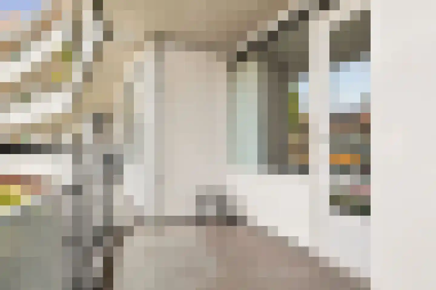 de Raep 37 Beverwijk thumbnail 27