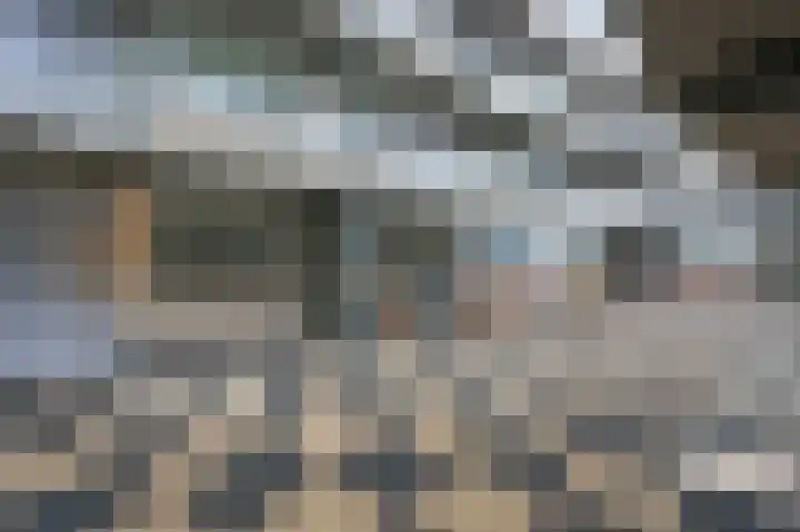 de Raep 57 Beverwijk thumbnail 30