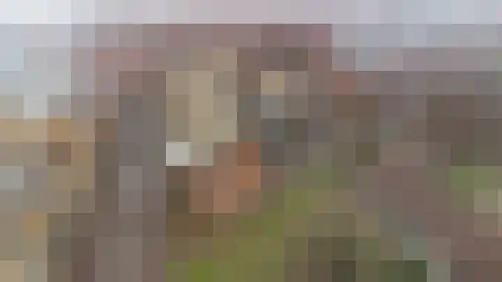 de Raep 57 Beverwijk thumbnail 34