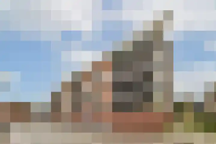 de Raep 59 Beverwijk thumbnail 19