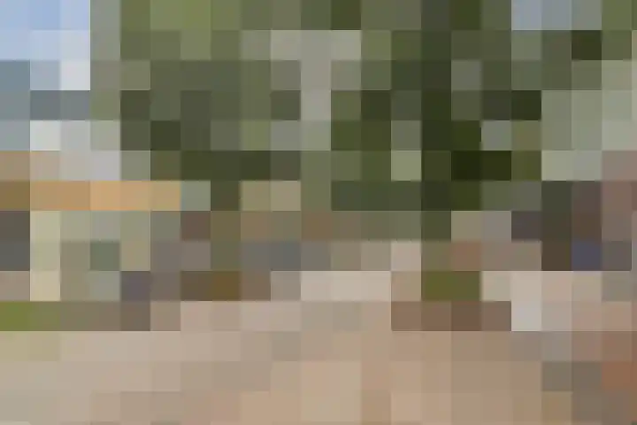 de Raep 59 Beverwijk thumbnail 20