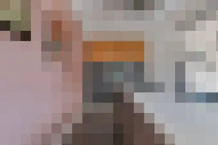 de Raetsingel 7 Boxmeer thumbnail 13