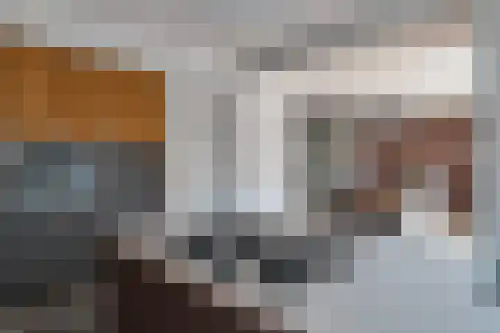 de Raetsingel 7 Boxmeer thumbnail 14