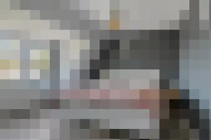 de Raetsingel 7 Boxmeer thumbnail 18