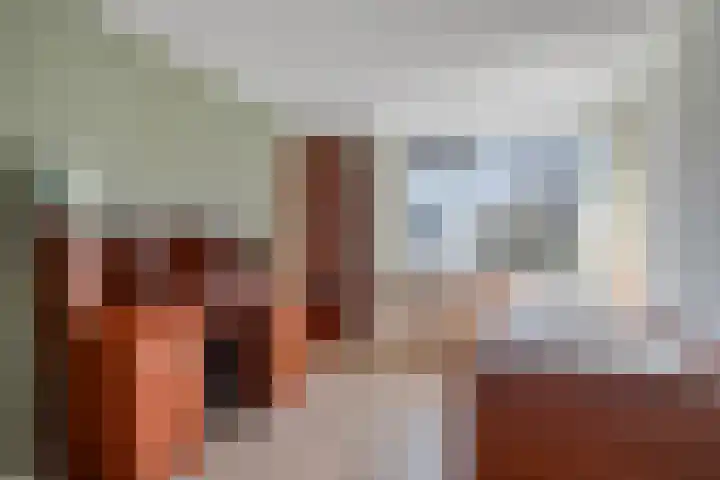 de Raetsingel 7 Boxmeer thumbnail 20