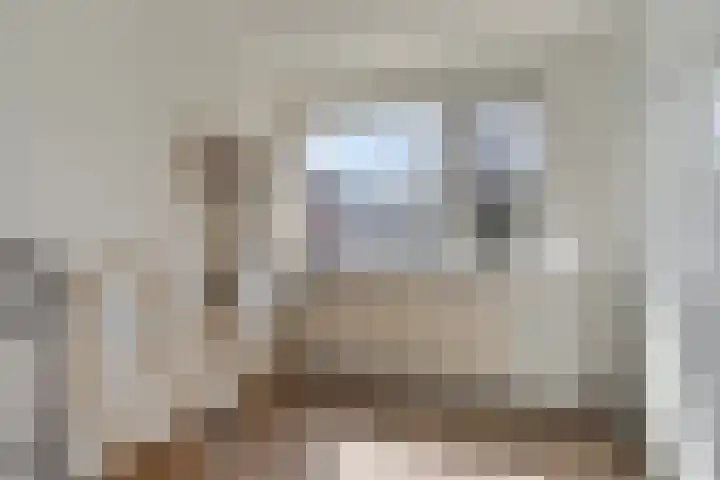 de Raetsingel 7 Boxmeer thumbnail 22