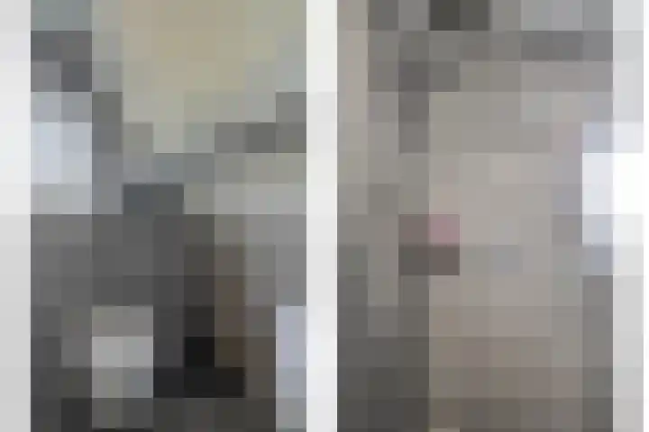 de Raetsingel 7 Boxmeer thumbnail 25