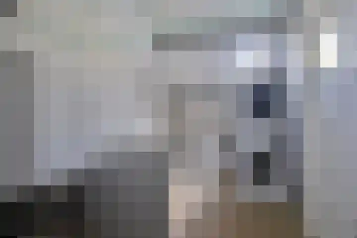 de Raetsingel 7 Boxmeer thumbnail 27