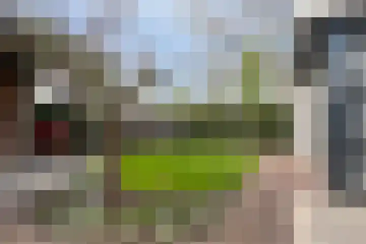 de Raetsingel 7 Boxmeer thumbnail 31
