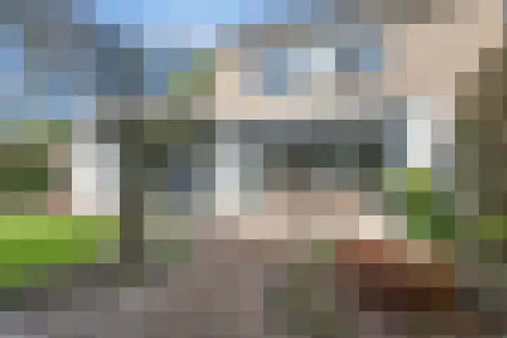 de Raetsingel 7 Boxmeer thumbnail 32