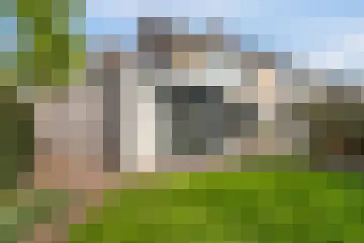 de Raetsingel 7 Boxmeer thumbnail 33
