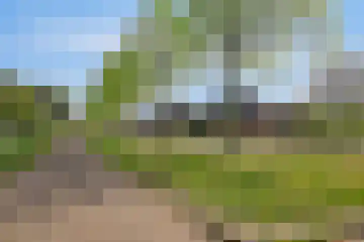 de Raetsingel 7 Boxmeer thumbnail 35