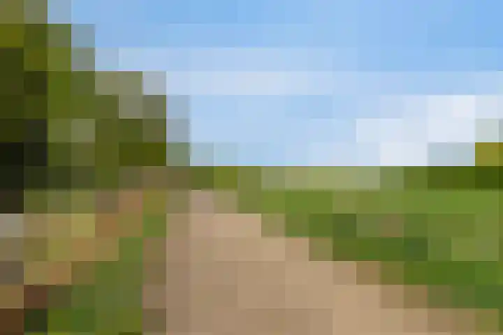 de Raetsingel 7 Boxmeer thumbnail 36