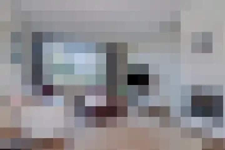 de Raetsingel 7 Boxmeer thumbnail 7