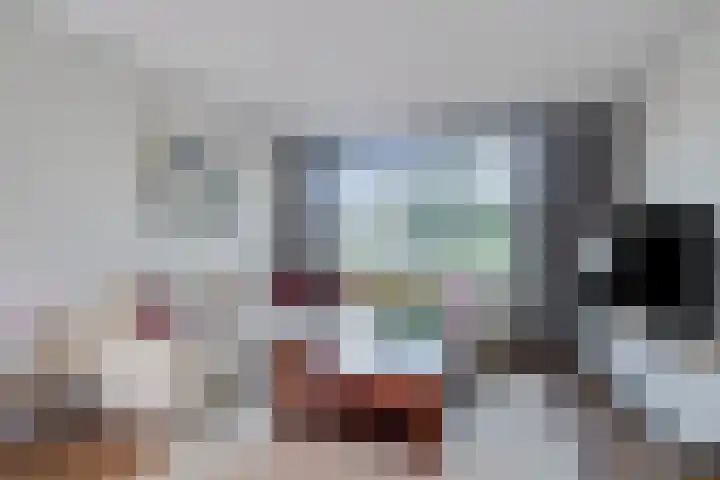 de Raetsingel 7 Boxmeer thumbnail 8