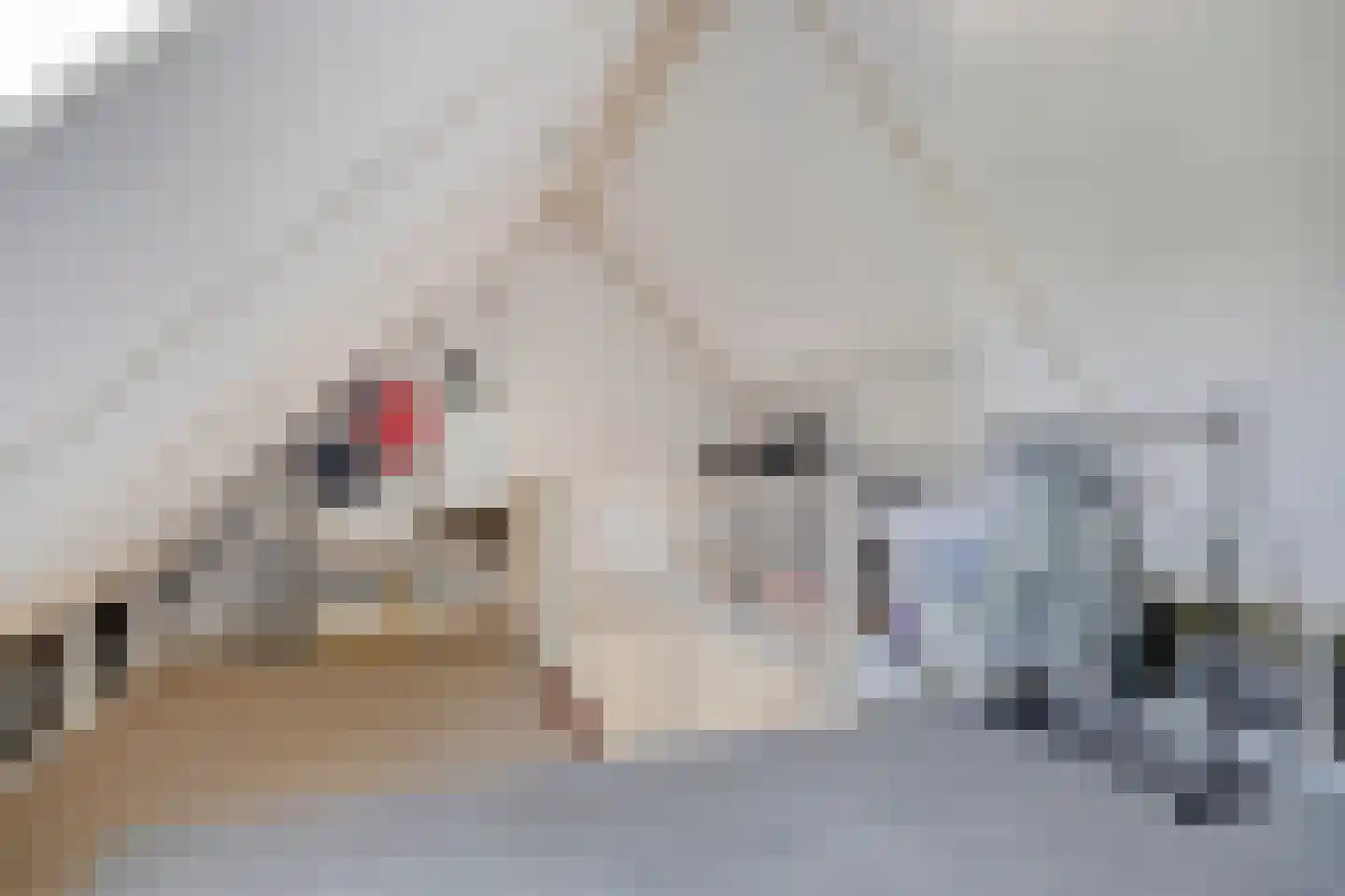 De Rail 22 Stadskanaal thumbnail 31