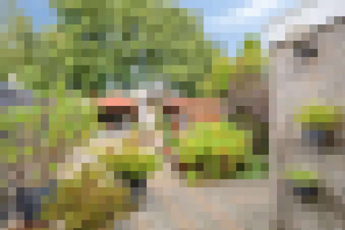 De Rail 22 Stadskanaal thumbnail 32