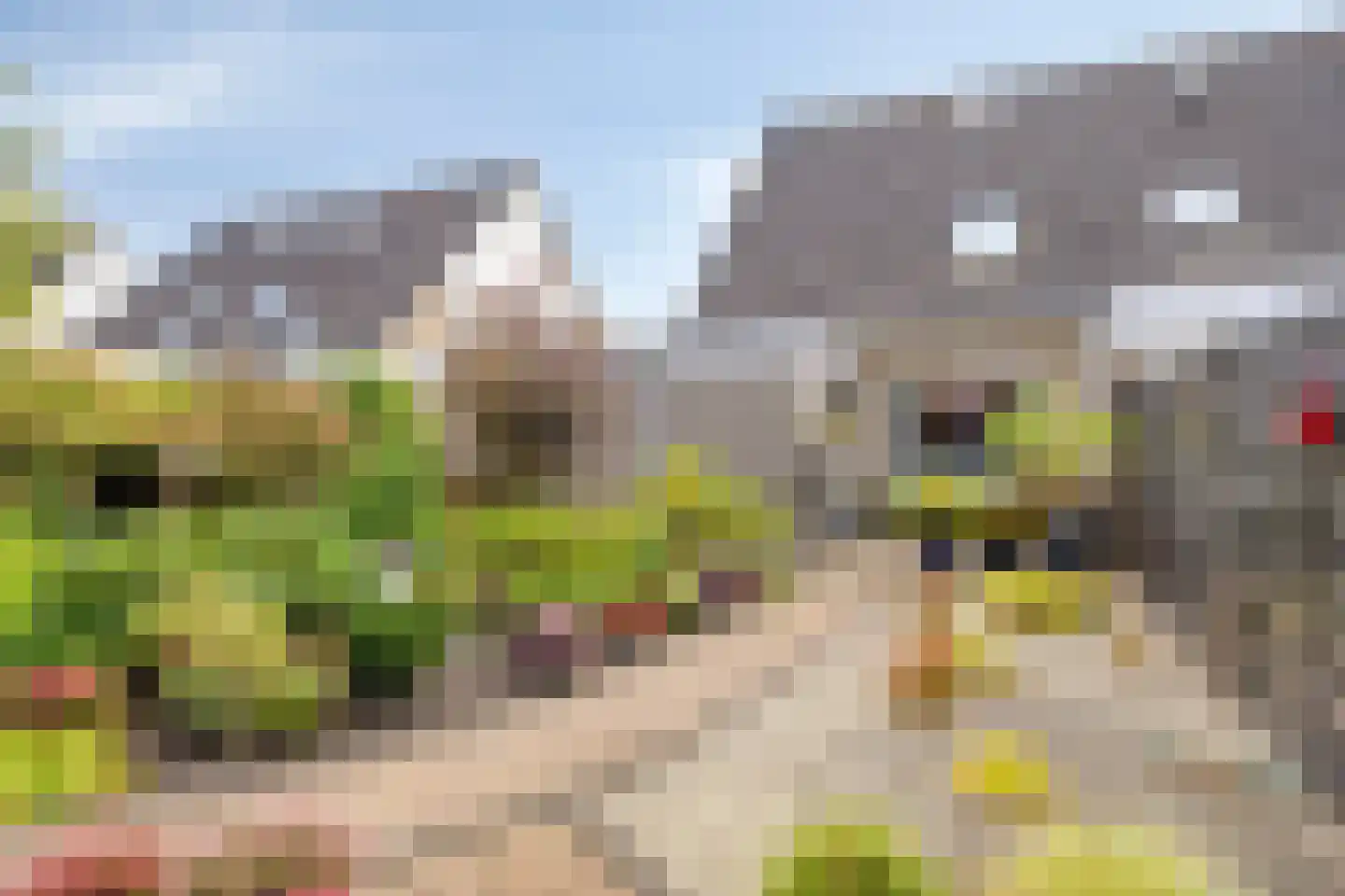 De Rail 22 Stadskanaal thumbnail 35