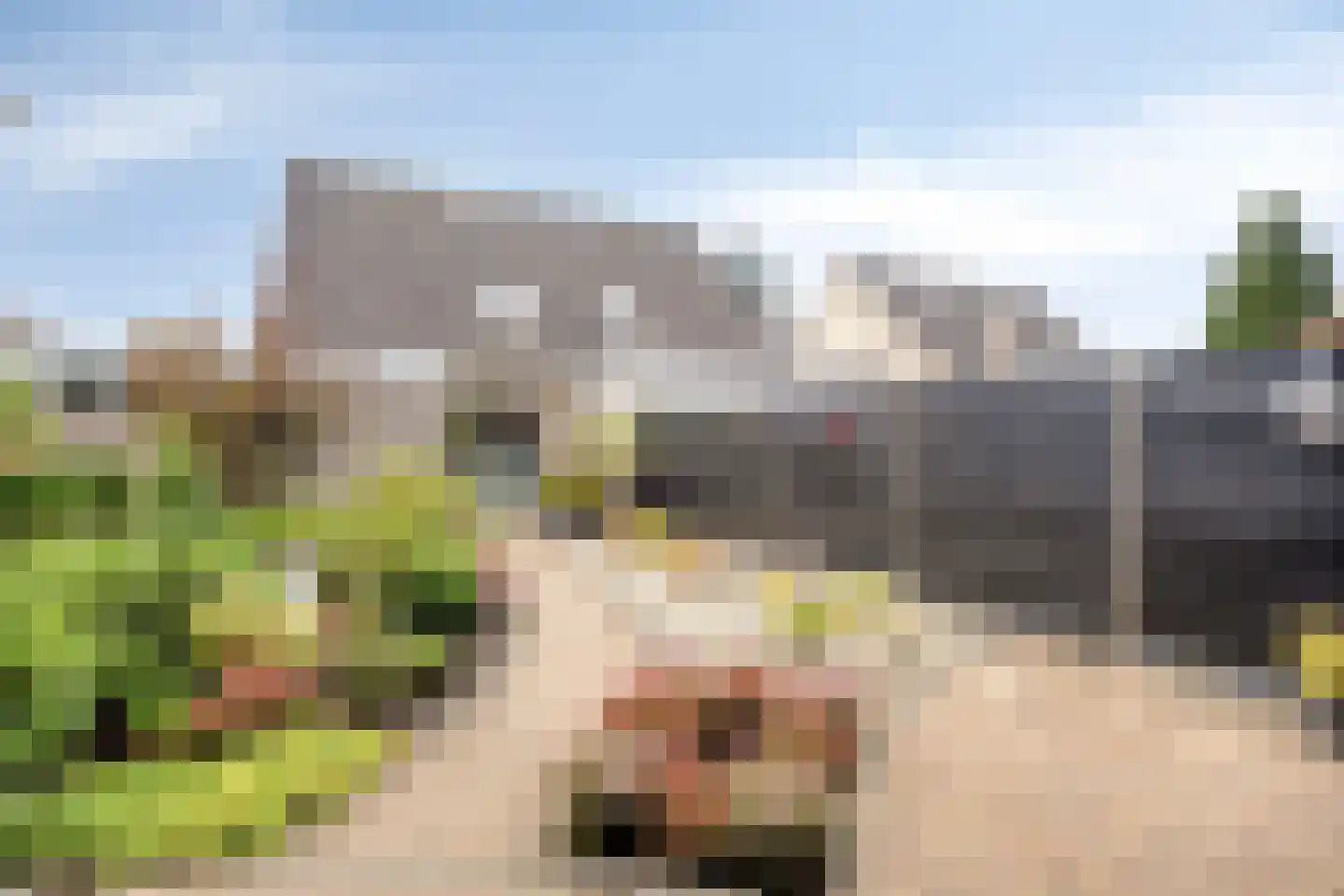 De Rail 22 Stadskanaal thumbnail 38