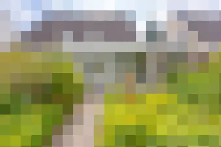 De Rail 24 Stadskanaal thumbnail 5