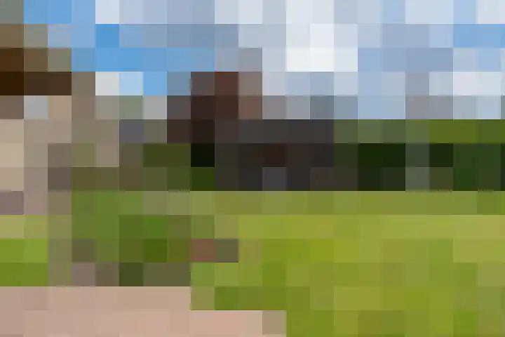 De Rail 63 Stadskanaal thumbnail 43