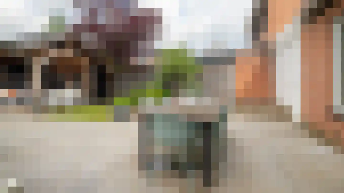 De Ral 32 Almelo thumbnail 30