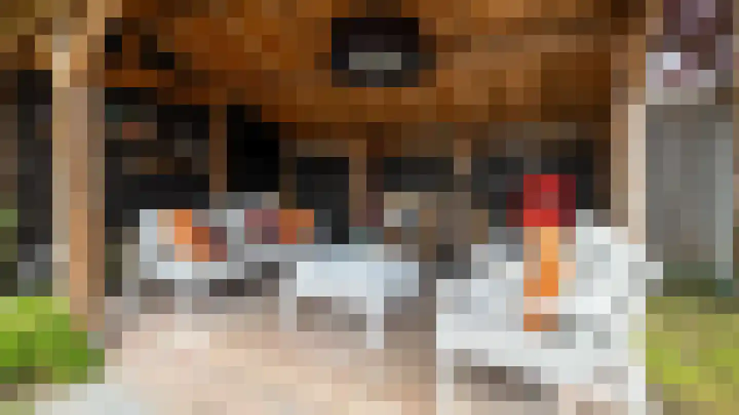De Ral 32 Almelo thumbnail 32