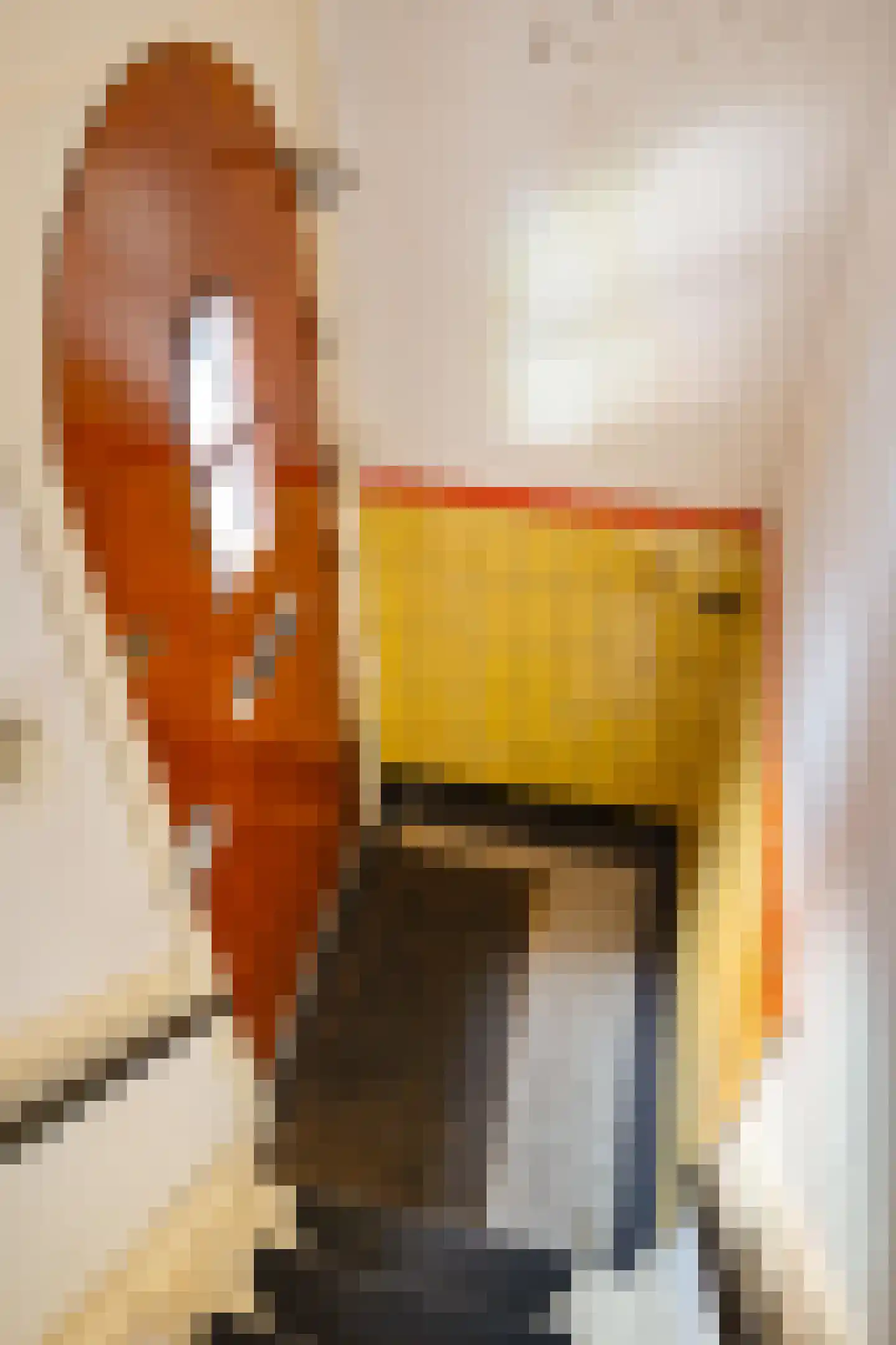De Ranitzstraat 4 Groningen thumbnail 10