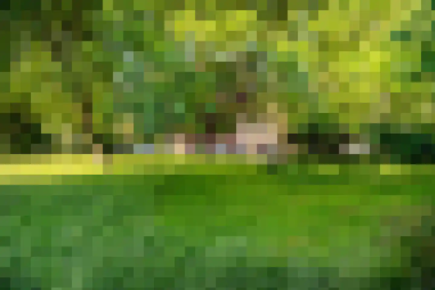 De Ranitzstraat 4 Groningen thumbnail 33