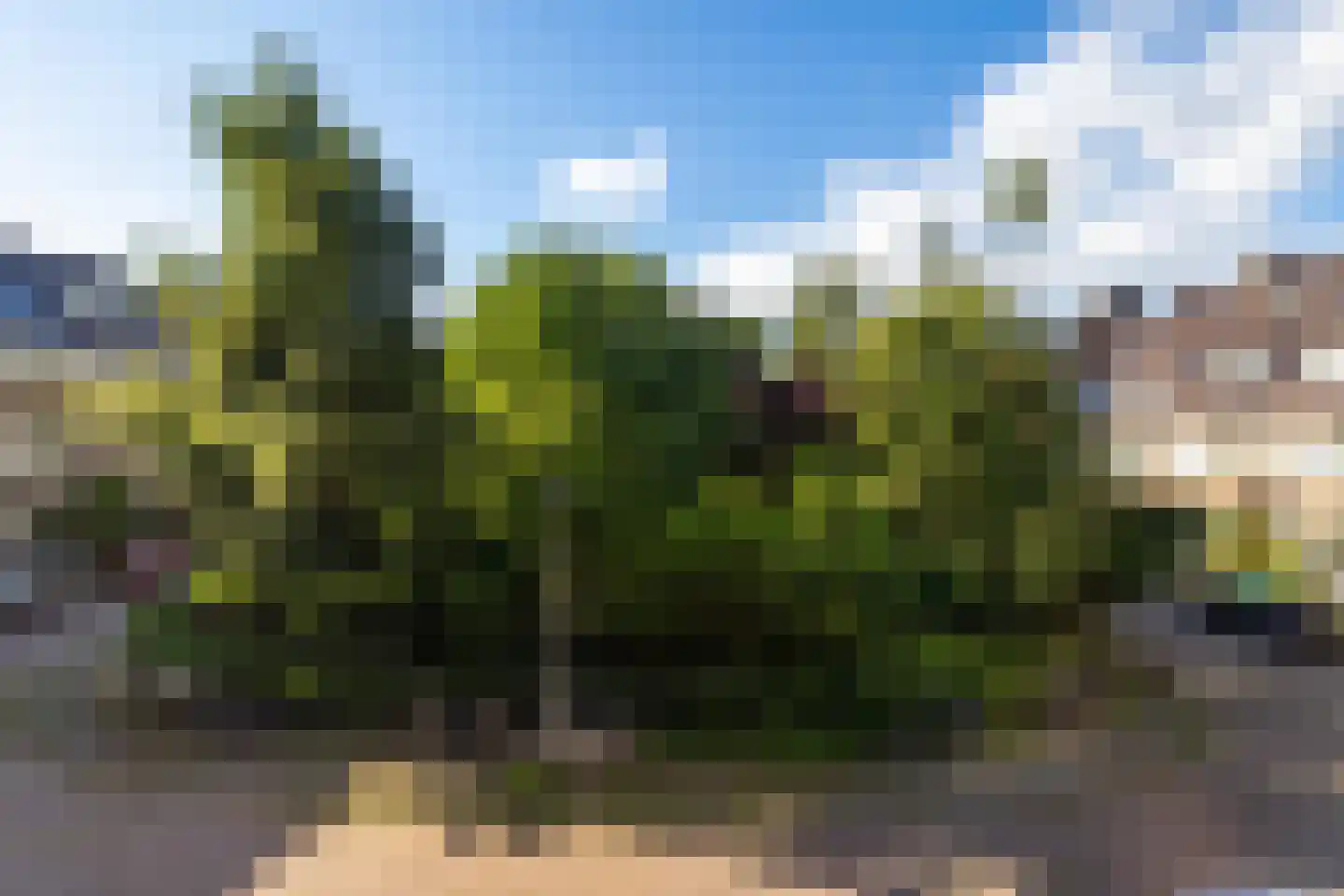 De Ranitzstraat 4 Groningen thumbnail 4