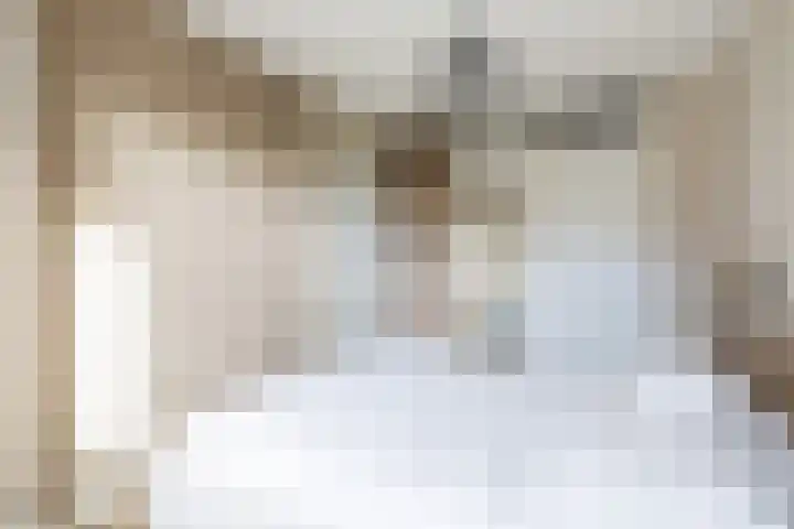 De Rank 16 Harskamp thumbnail 15