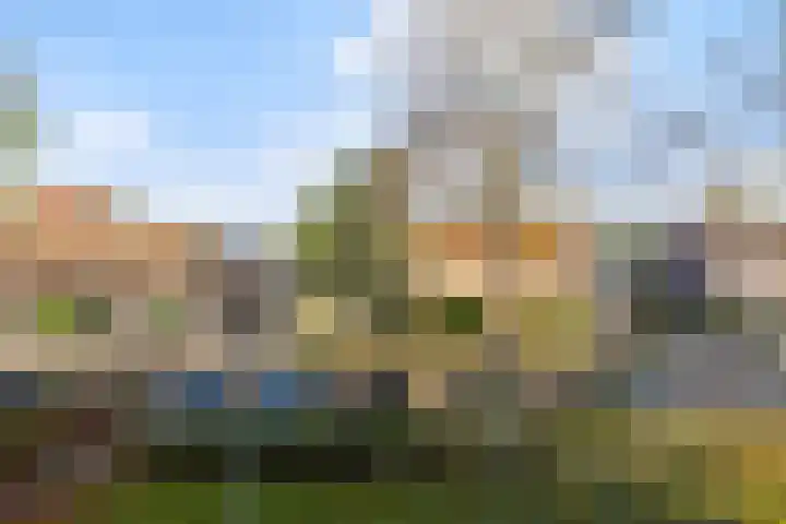 De Rank 16 Harskamp thumbnail 21