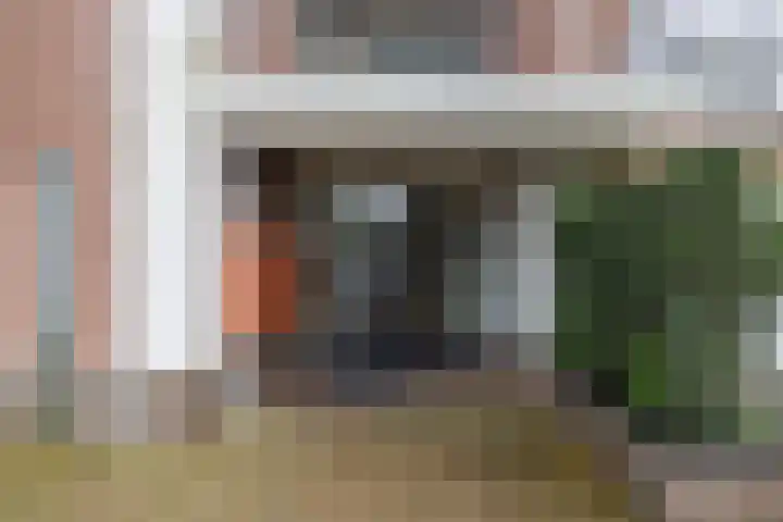 De Rank 16 Harskamp thumbnail 25