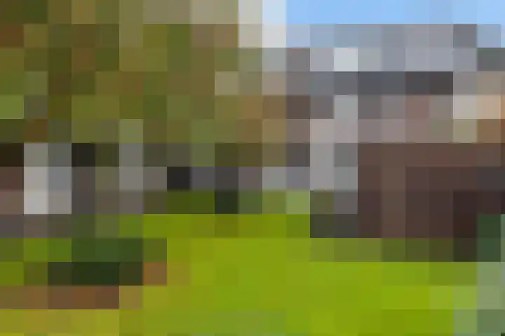 De Rank 16 Harskamp thumbnail 27