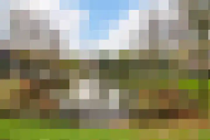 De Rank 16 Harskamp thumbnail 28