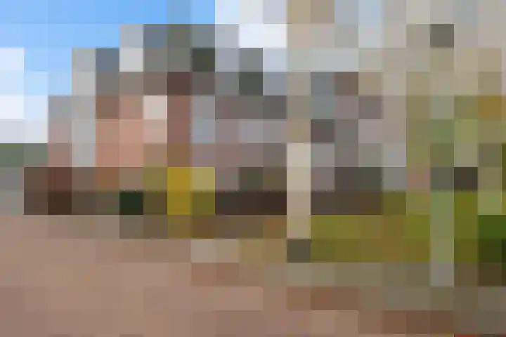 De Rank 16 Harskamp thumbnail 29