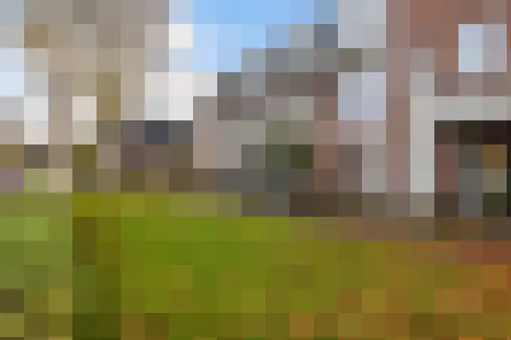 De Rank 16 Harskamp thumbnail 30