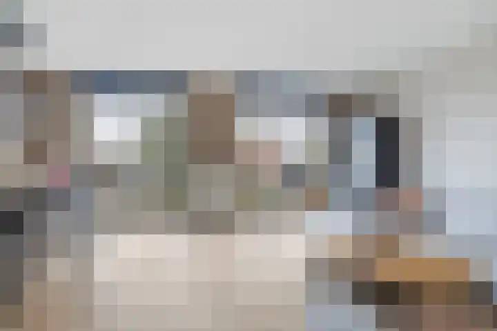 De Rank 16 Harskamp thumbnail 4