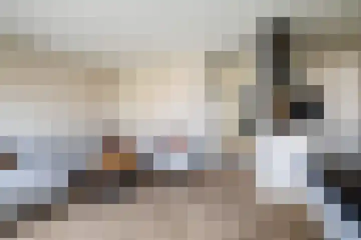 De Rank 16 Harskamp thumbnail 8