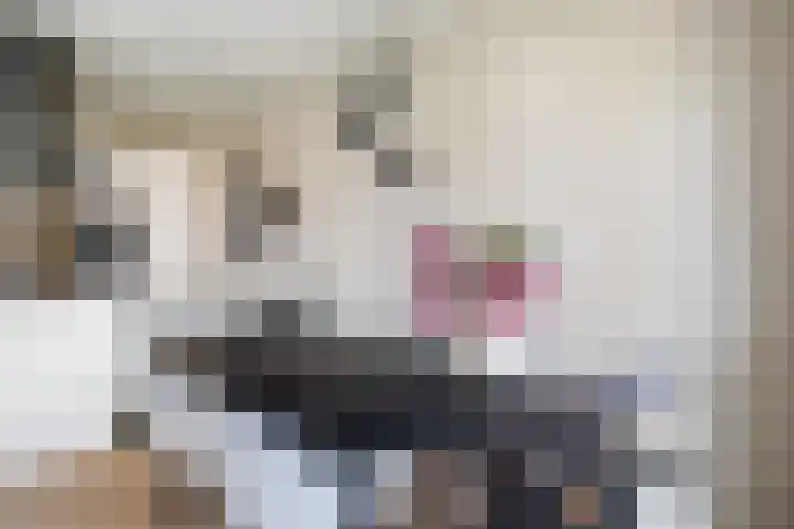 De Rank 16 Harskamp thumbnail 9