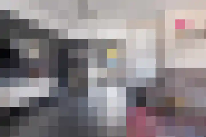 De Rank 17 Harskamp thumbnail 11