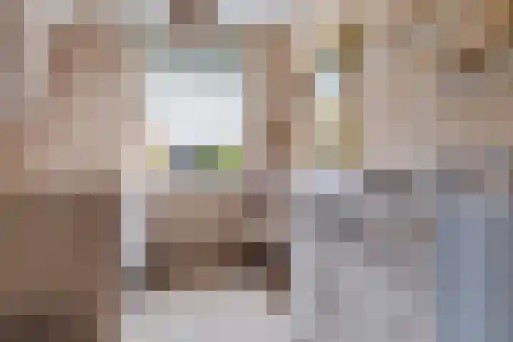 De Rank 17 Harskamp thumbnail 21