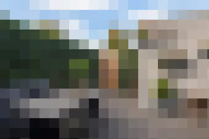 De Rank 17 Harskamp thumbnail 32