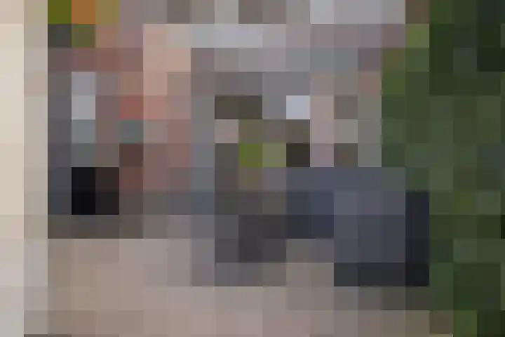 De Rank 17 Harskamp thumbnail 33
