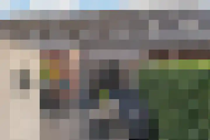 De Rank 17 Harskamp thumbnail 34