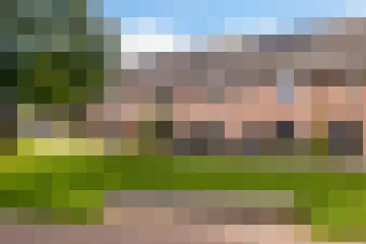 De Rank 17 Harskamp thumbnail 37