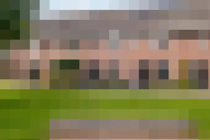 De Rank 17 Harskamp thumbnail 38