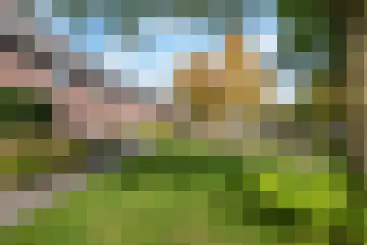 De Rank 17 Harskamp thumbnail 40